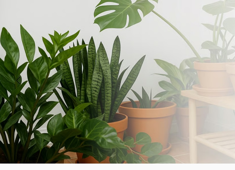 Lush green plants