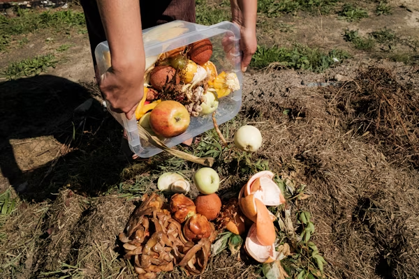 Traditional Composting vs Chewie: Which is Better for Your Home? Copy