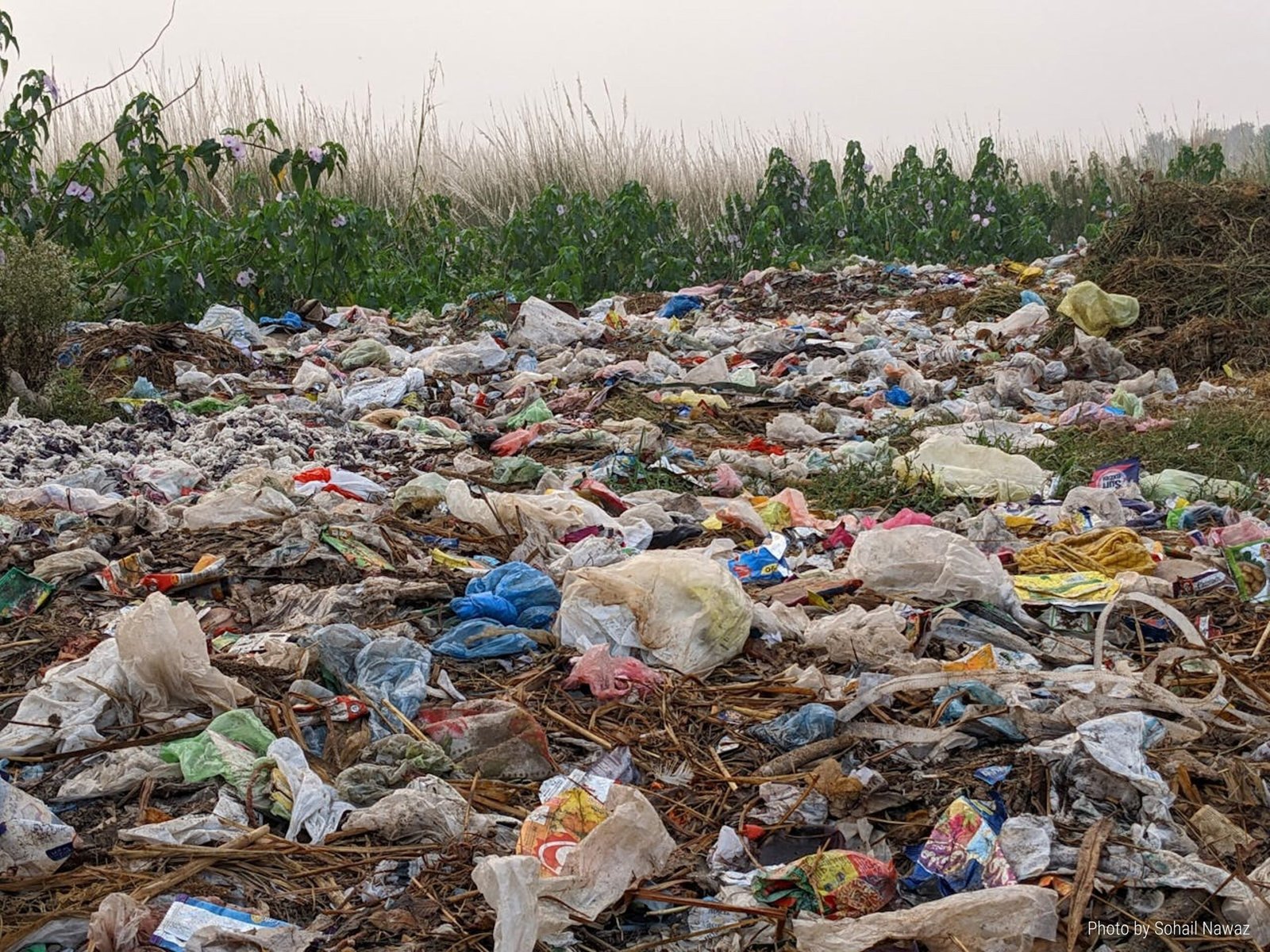 Unseen Damage: Landfills and Soil Pollution Copy