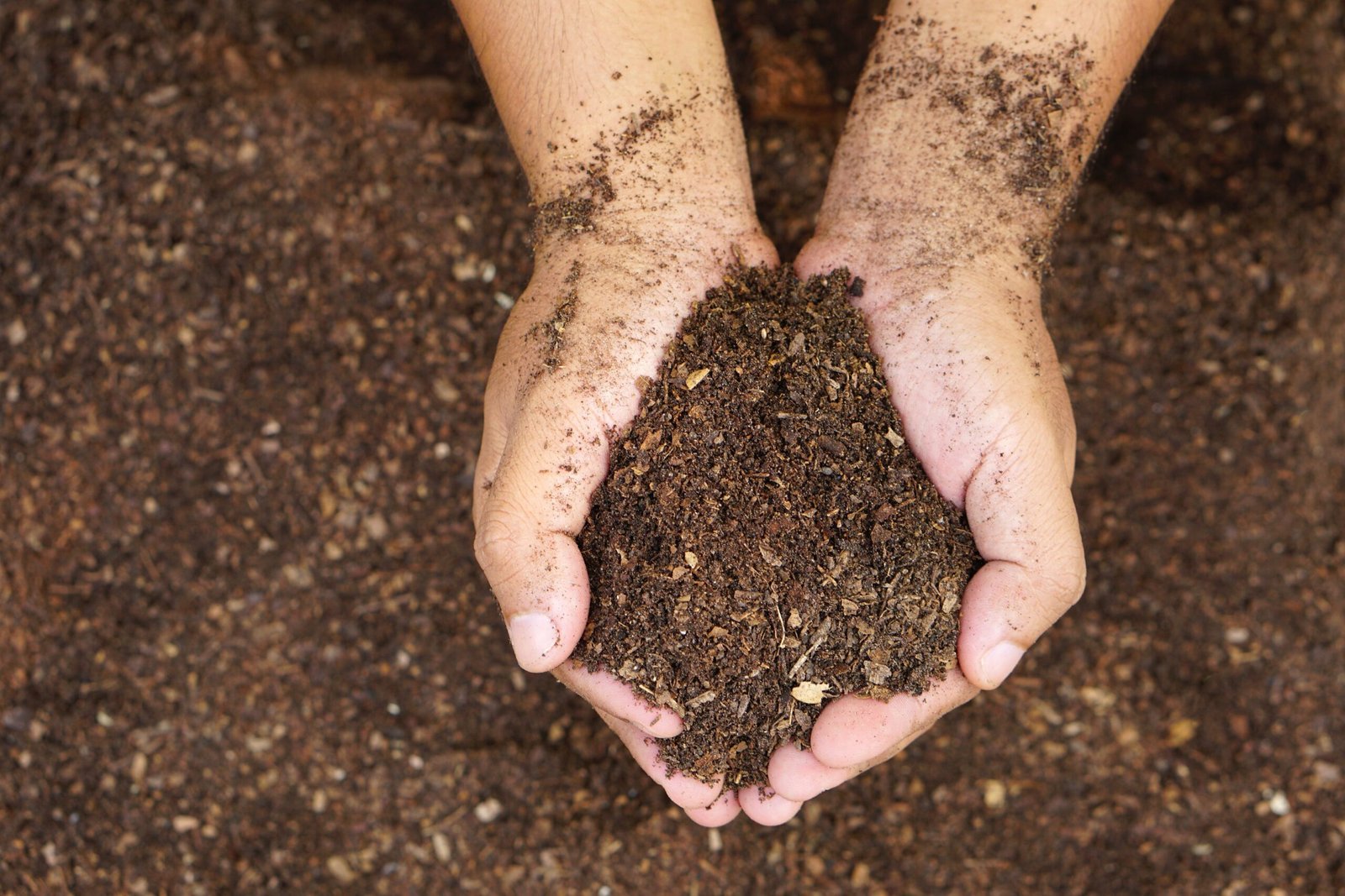 a person holding compost in their hands