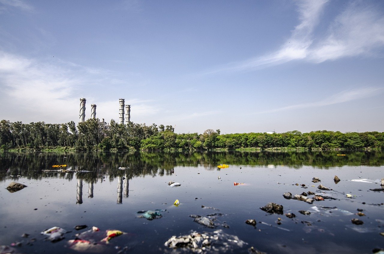 Bangalore lake